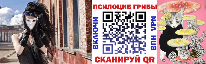 omg онион  магазин продажи наркотиков  Пыть-Ях  Псилоцибиновые грибы Psilocybe 